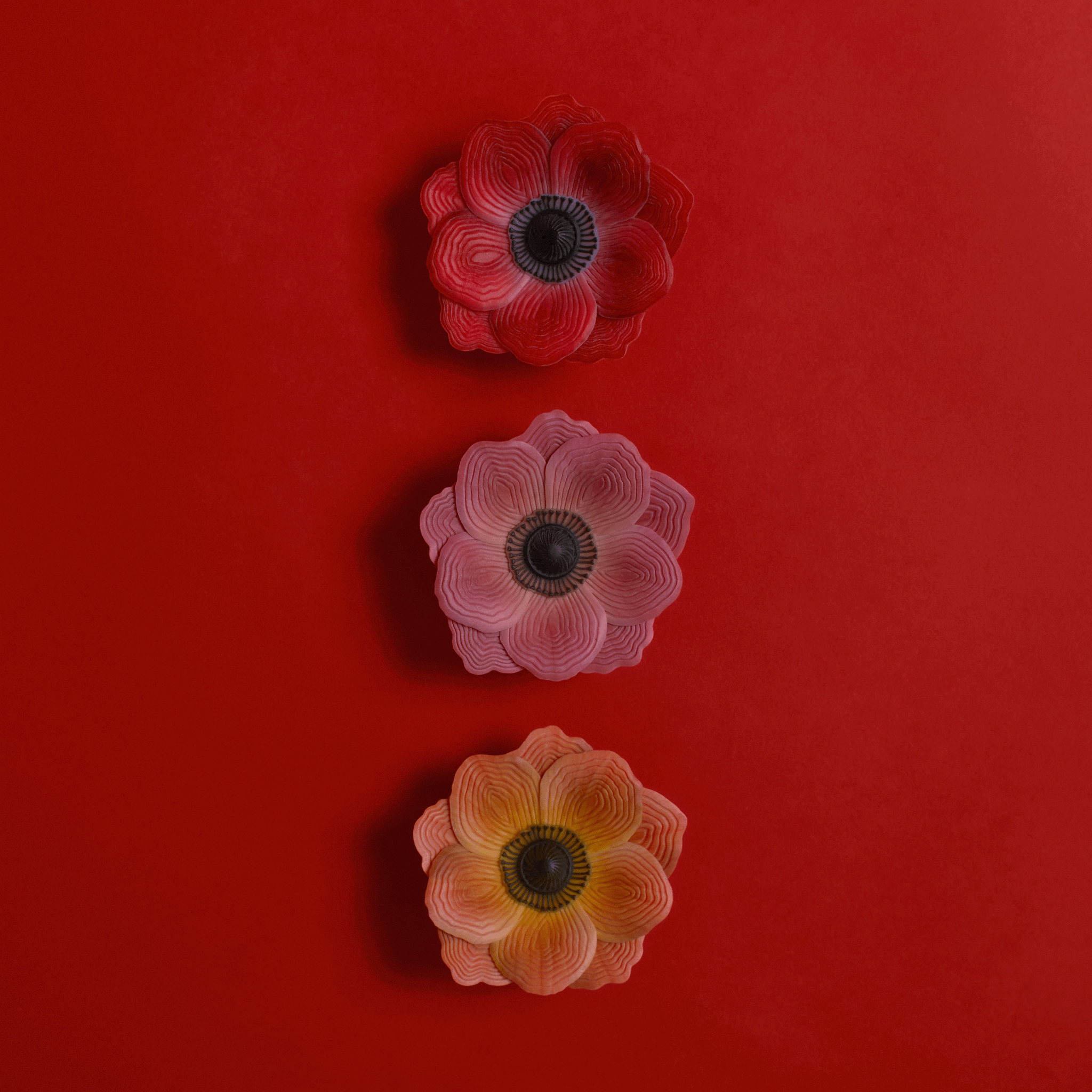 Anemone Hair cuff - M - Pink【予約販売:2026年3月~4月発送予定】