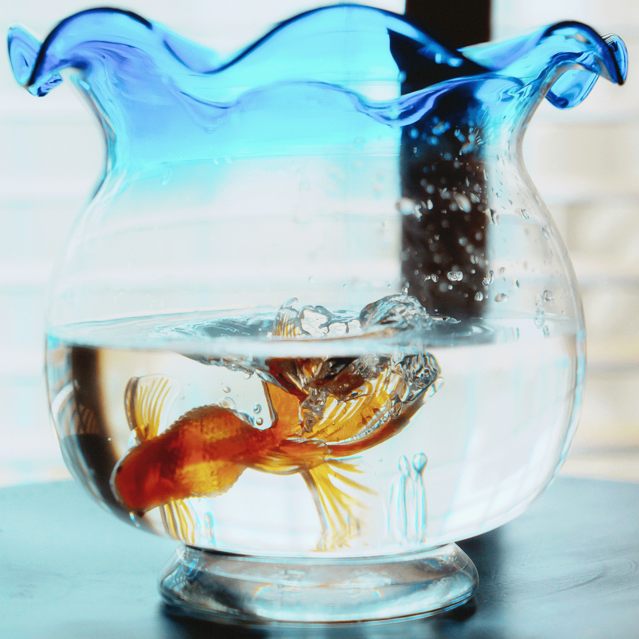 Goldfish Frame Nail Ring (Goldfish)【予約販売:2026年3月~5月発送予定】