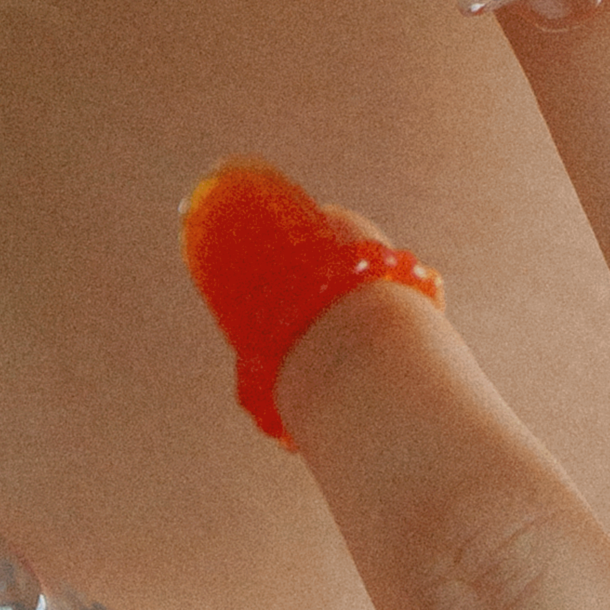 Goldfish Frame Nail Ring (Surface)【予約販売:2026年3月~5月発送予定】