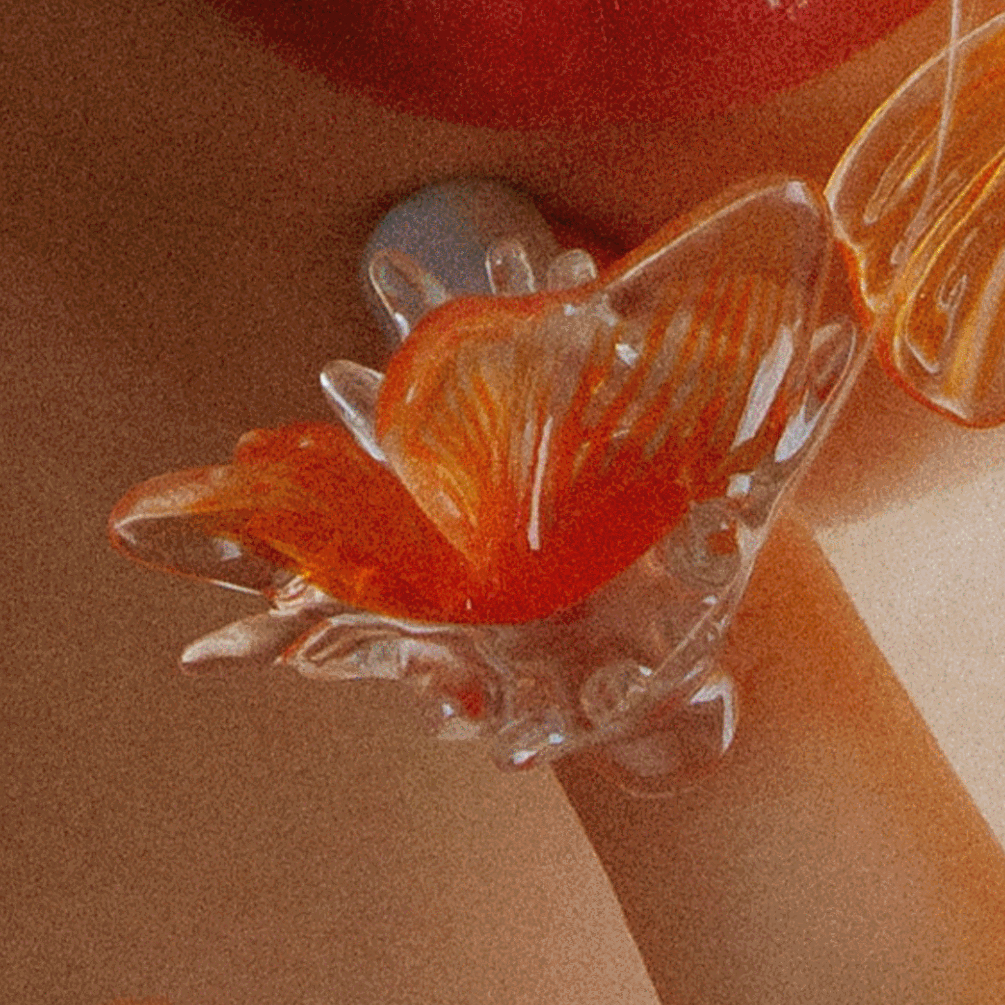 Goldfish Frame Nail Ring (Splash)【予約販売:2026年3月~5月発送予定】