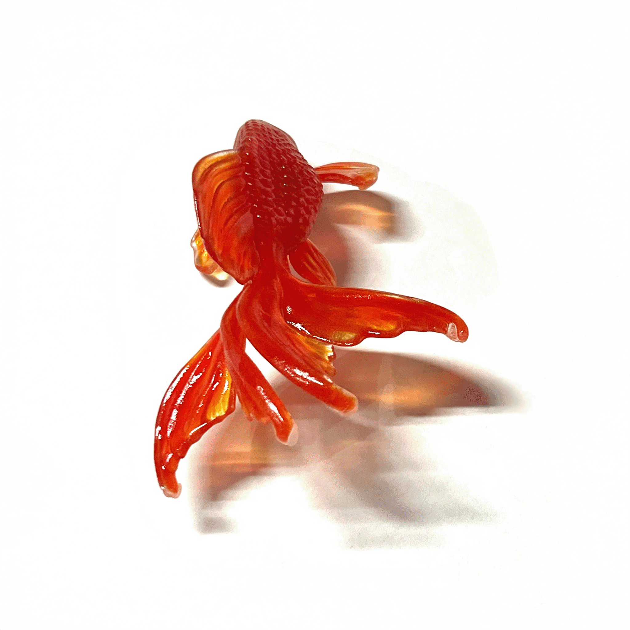 Goldfish Frame Nail Ring (Goldfish)【予約販売:2026年3月~5月発送予定】