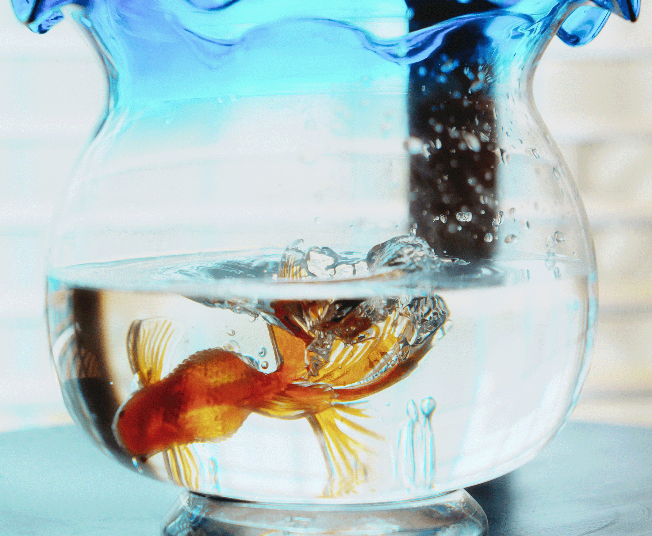 2026 SPRING & SUMMER COLLECTION [10/24-10/27]