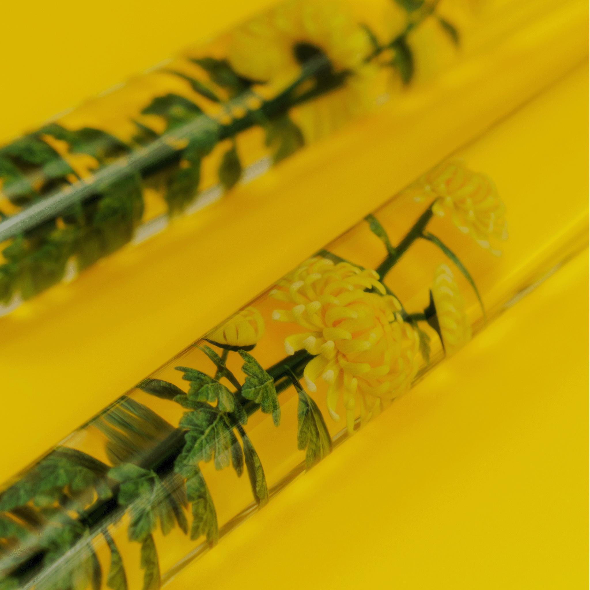 KIKU nunchucks