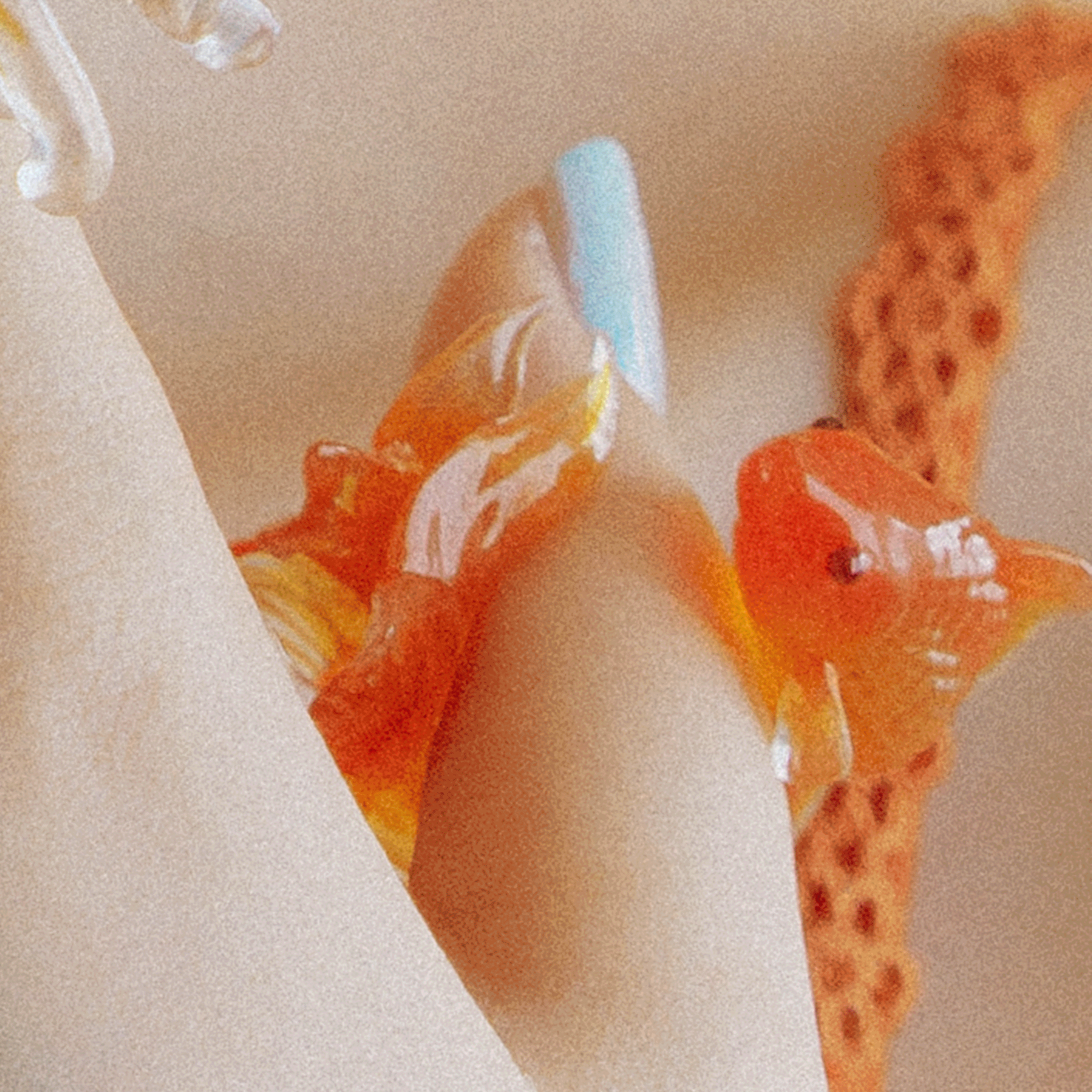 Goldfish Frame Nail Ring (Thumb)【予約販売：2026年3月～5月発送予定】