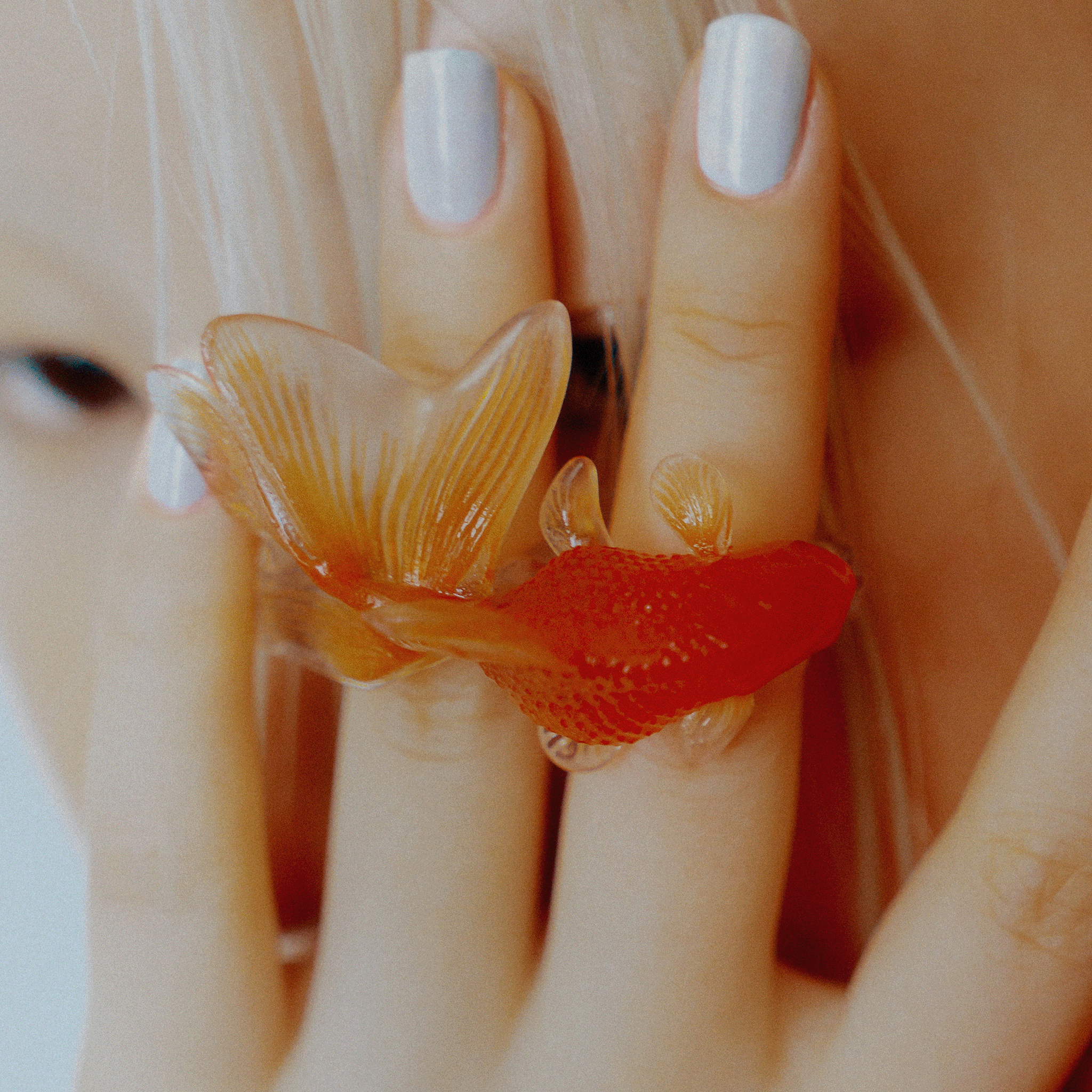 Goldfish Ring Goldfish【予約販売：2026年3月～5月発送予定】