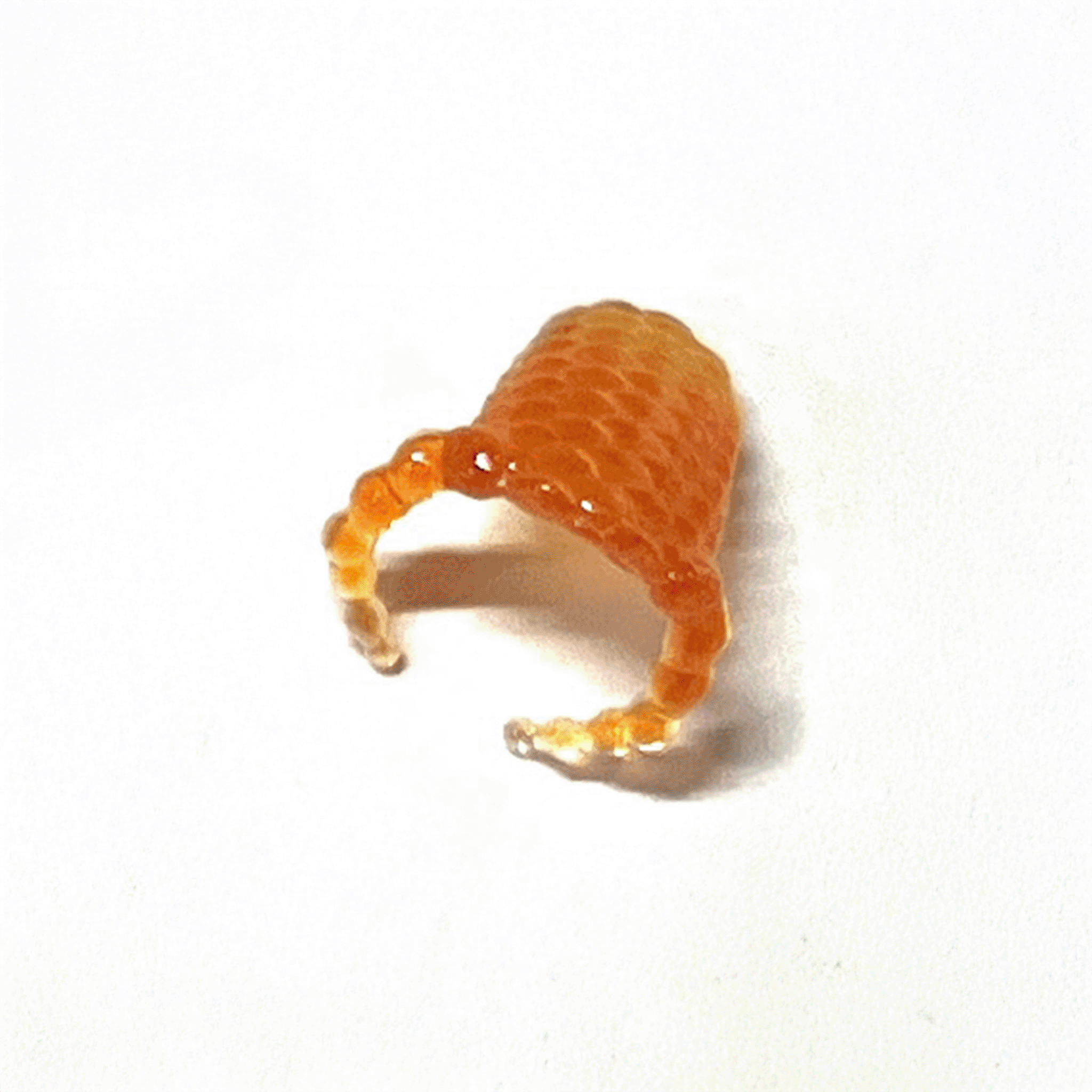 Goldfish Frame Nail Ring (Surface)【予約販売：2026年3月～5月発送予定】