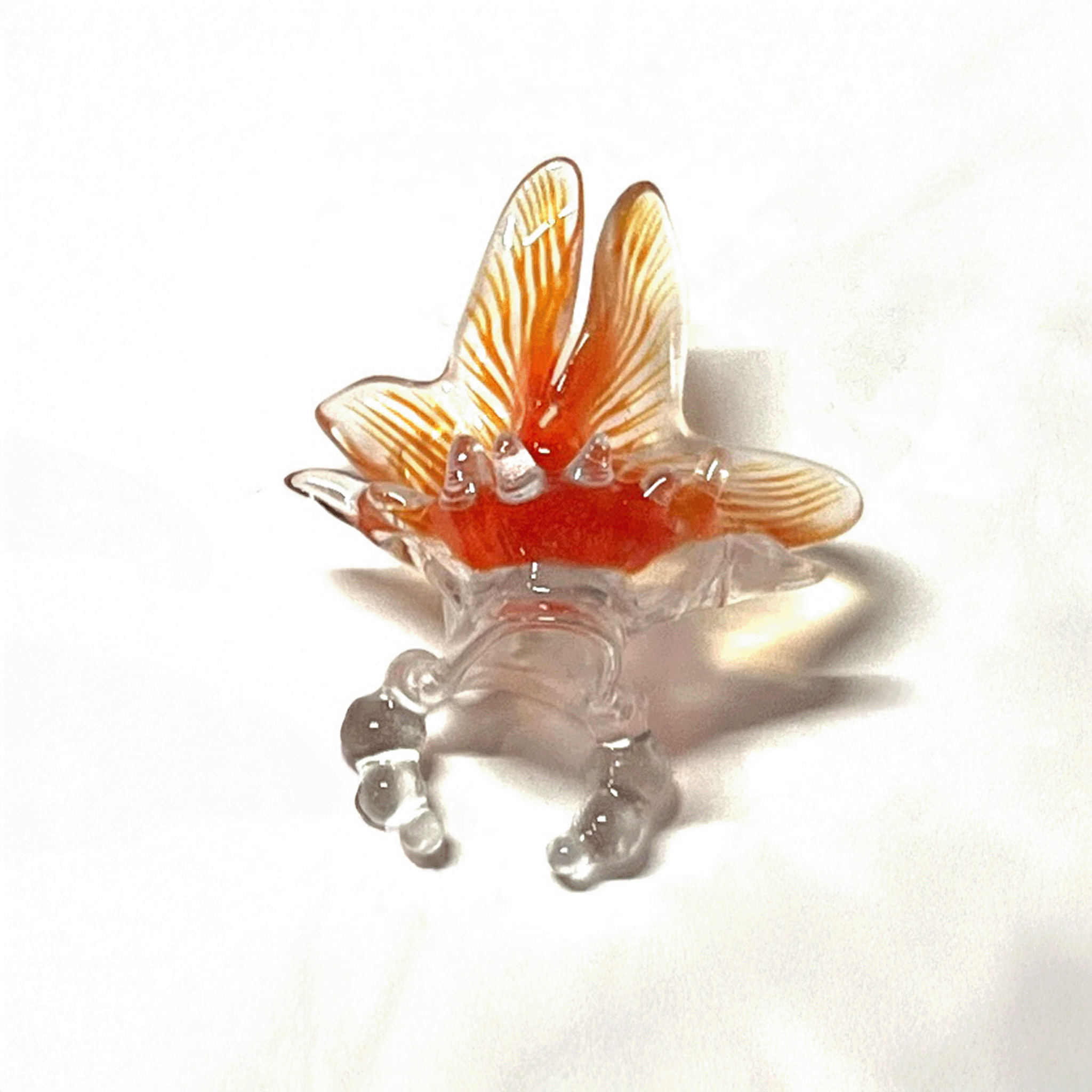 Goldfish Frame Nail Ring (Splash)【予約販売：2026年3月～5月発送予定】