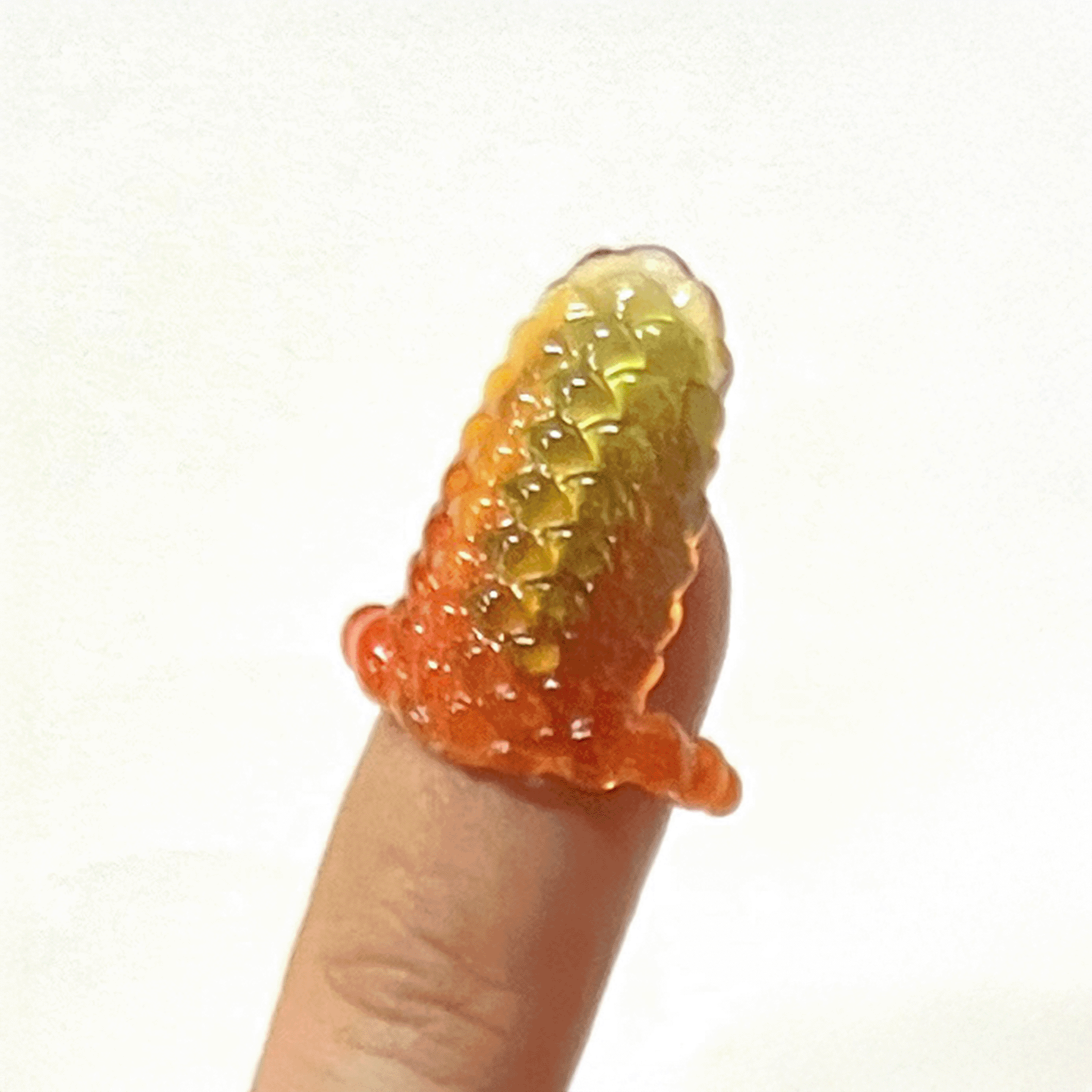 Goldfish Frame Nail Ring (Surface)【予約販売：2026年3月～5月発送予定】